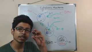 Mitochondria  NSF Chalk Talk [upl. by Gillmore]