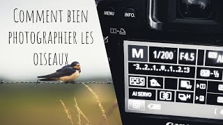 COMMENT PHOTOGRAPHIER LES OISEAUX TECHNIQUES MATERIELS ET REGLAGES [upl. by Eded]