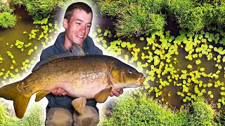 Carp Fishing on the River  an EPIC start to our fishing season [upl. by Asimaj]