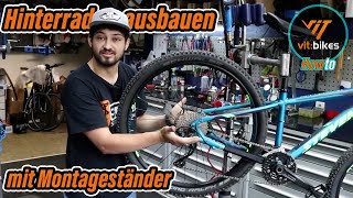 Hinterrad am Fahrrad ausbauen MIT Montageständer  vitbikesTV [upl. by Emarie]