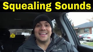 Why Do Cars Make Squealing Sounds5 Common Reasons [upl. by Lelia77]