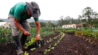 Importancia de la Agricultura Orgánica  TvAgro por Juan Gonzalo Angel [upl. by Stichter]