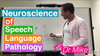 Neuroscience of Speech Language Pathology SLP [upl. by Delija]