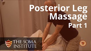 General Posterior Leg Protocol Beginning Massage Techniques Part 1 [upl. by Jer]