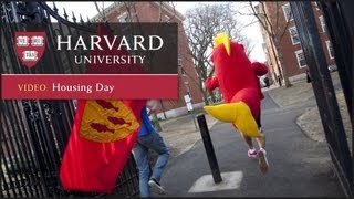 Housing Day at Harvard [upl. by Bourque476]