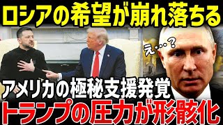 ウクライナがロシアと2025年末まで戦えると判明！トランプの圧力にも余裕な理由とは？【地政学・地理・軍事】 [upl. by Marlen71]