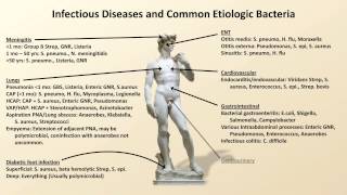 Bacterial Etiologies of Common Infections Antibiotics  Lecture 2 [upl. by Jaret]