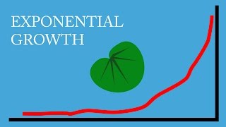 Exponential Growth a Commonsense Explanation [upl. by Ylnevaeh]