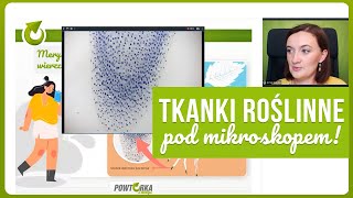 Tkanki roślinne pod mikroskopem zobacz lekcję online [upl. by Phyllys]