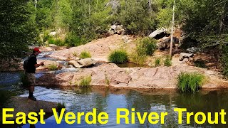 Trout Fishing Arizonas East Verde River [upl. by Ellmyer752]