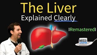 Liver Explained Function Pathology Diseases amp Cirrhosis [upl. by Rist593]