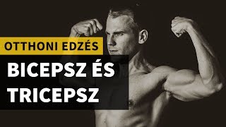 Otthoni edzés bicepsz és tricepsz [upl. by Tory]