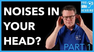 What Causes Noises in Your Head  What is Tinnitus Part 1 [upl. by Econah]