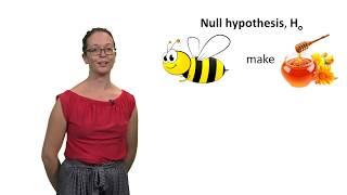 Null and alternative hypotheses with Lindsey Leach [upl. by Ardnat182]