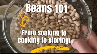 Beans 101 From Soaking to Cooking to storing How To [upl. by Kerad]