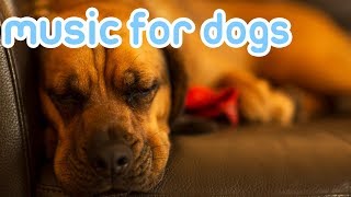 10 HOURS Deep Separation Anxiety Music for Dogs Chill Your Dog 247 [upl. by Terriss]