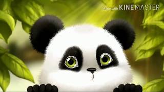 Desiigner  panda song  official music video [upl. by Wake479]