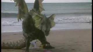 Eustace the dragon plays on the beach [upl. by Corie]