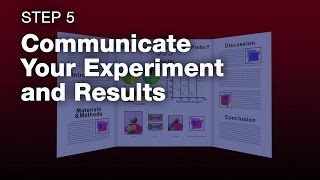 DIY Space How to Do a Science Fair Project  Step 5 [upl. by Christensen531]