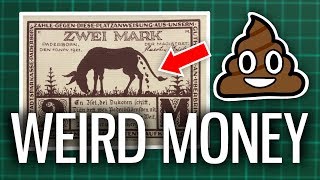 WEIRDEST Banknotes in the World [upl. by Arreyt]