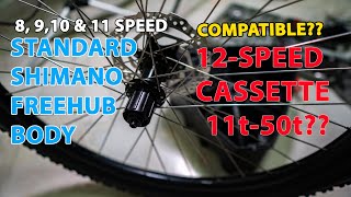 SHIMANO HG FREEHUB BODY COMPATIBLE TO 12Speed CASSETTE 1150 [upl. by Laverne]