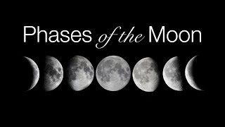 Phases and Motions of the Moon [upl. by Dogs]