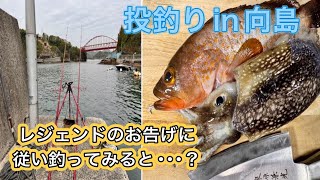 絶望の投げ釣り！in しまなみ海道 向島！ [upl. by Aihtnic]