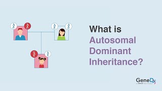 What is Autosomal Dominant Inheritance [upl. by Latsyrk296]