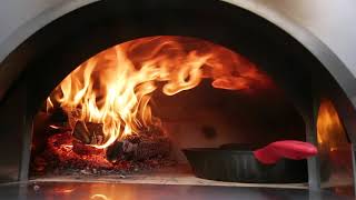 Forno Venetzia Pronto Series Wood Fired Oven [upl. by Hadihahs103]