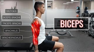 The Best ScienceBased Bicep Workout  ARMS Part 12 [upl. by Sayer100]