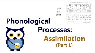 Phonological Processes Assimilation Part 1 [upl. by Aklim]