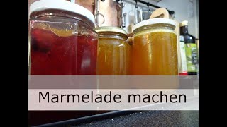 Marmelade machen  Kriachal Mirabelle Wilde Pflaume [upl. by Cj]