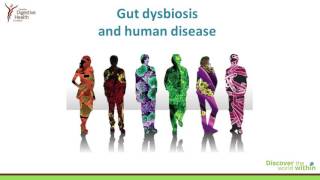 Introducing the Human Gut Microbiota [upl. by Narba598]