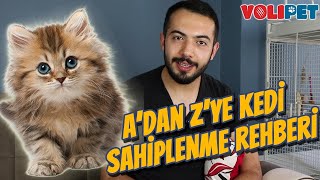 KEDİ SAHİPLECEKLERİN BİLMESİ GEREKENLER Kedi Bakımı Mama Tüy Dökmesi Kedi Aşıları [upl. by Aniret100]