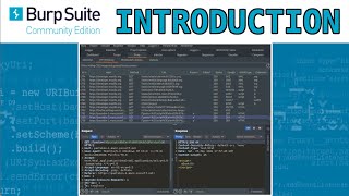 Introduction to Burp Suite for beginners [upl. by Adaha]