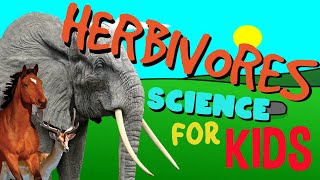 What is a Herbivore  Science for Kids [upl. by Thibaud]