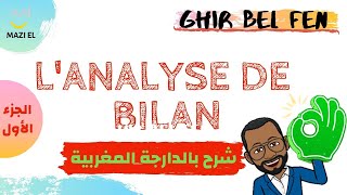 Analyse financier  Analyse de bilan part 1 [upl. by Morehouse368]