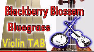 Blackberry Blossom  Bluegrass  Violin  Play Along Tab Tutorial [upl. by Iggem]