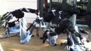 spirit halloween 2011 and 2012 jumping spider [upl. by Attelrac47]