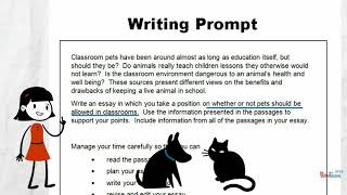 Analyze a Writing Prompt [upl. by Rozella]