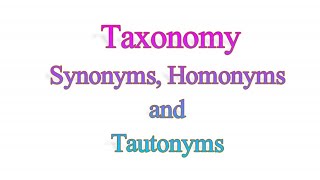 Synonyms Homonyms and Tautonyms I Taxonomy I Senior synonym I Junior synonym I Objective synonym [upl. by Eerrehc]