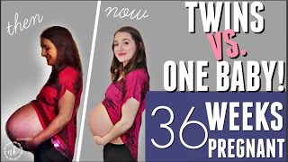 TWINS VS ONE BABY Comparing my Pregnancies  WEEK 36 UPDATE [upl. by Serene]