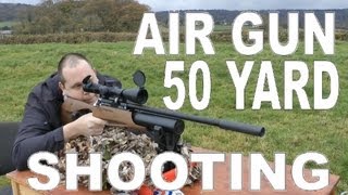 AIR RIFLE  50 YARDS  Daystate Air Wolf MCT Air Gun 177 [upl. by Bruell]