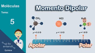 ¿Cómo determinar la POLARIDAD de las moléculas [upl. by Eolhc598]