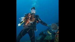 We Speared Over 300 Lionfish in One Day UPDATE OVER 2 MILLION VIEWS [upl. by Yzus]