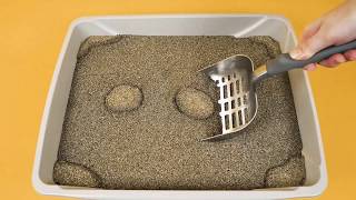 How to Use ARM amp HAMMER™ SLIDE™ Cat Litter [upl. by Grimbald60]