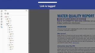 PDF Accessibility Navigation Links [upl. by Bannister926]