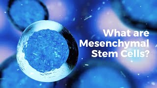 How do Stem Cells Actually Work  Earth Science [upl. by Vicky]