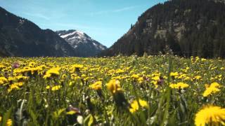 Frühjahrswandern im Tannheimer Tal [upl. by Domela]