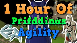 DorgeshKaan Agility Course  Getting Started Guide [upl. by Jillana]